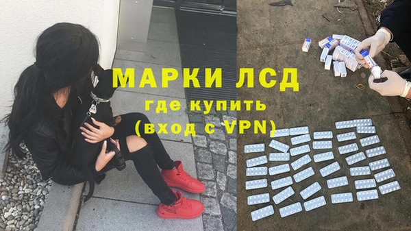 прущий лед Горняк