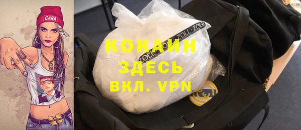 гидра Горно-Алтайск