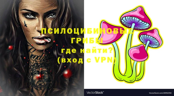 метамфетамин Гусев