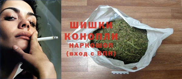 гидра Горно-Алтайск