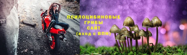 прущий лед Горняк