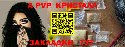 СК Гатчина