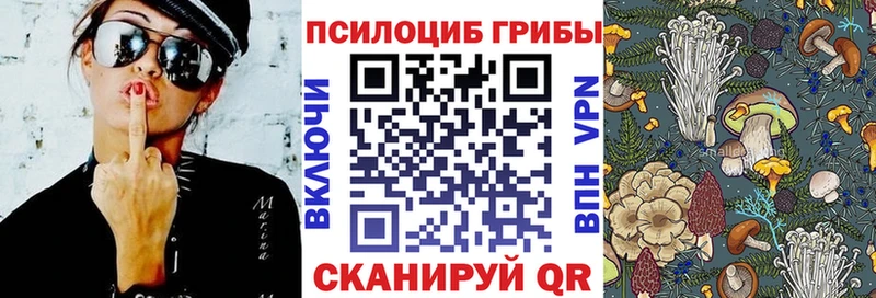 Псилоцибиновые грибы Magic Shrooms  Добрянка 