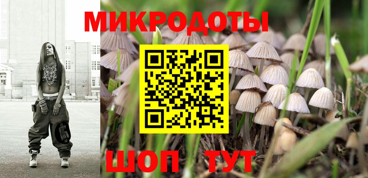 Псилоцибиновые грибы Psilocybe  Добрянка 