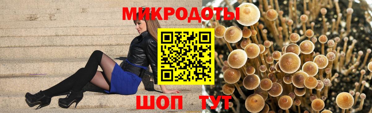 Псилоцибиновые грибы Magic Shrooms Добрянка