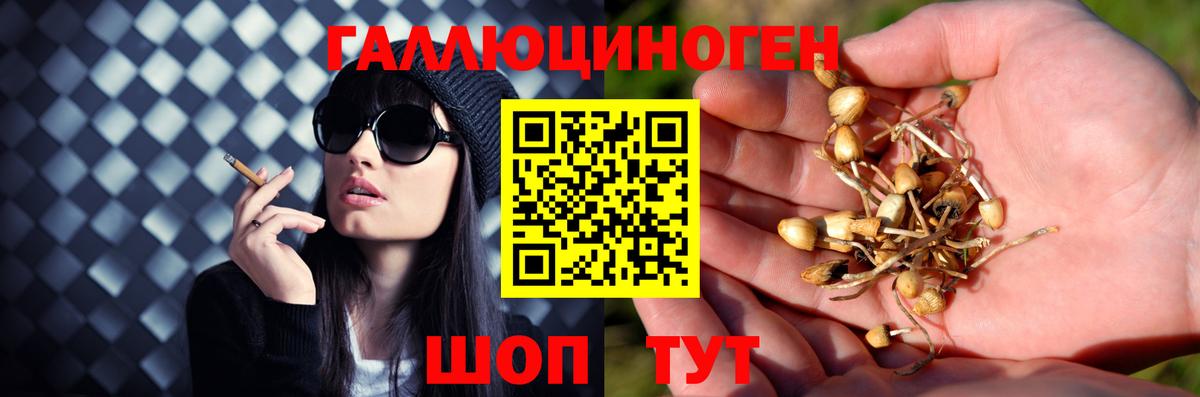Добрянка  Псилоцибиновые грибы мицелий  Вход с VPN  Псилоцибиновые грибы Magic Shrooms 